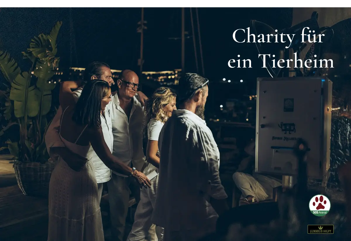 Charity Party for animals